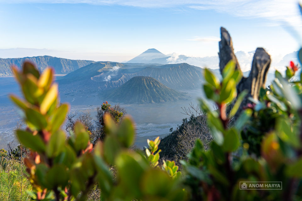 Golden Hour Sunset di Bromo