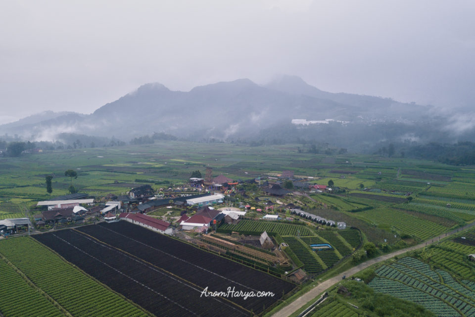 Aerial Cafe Sawah - Pujon Kidul (Malang)