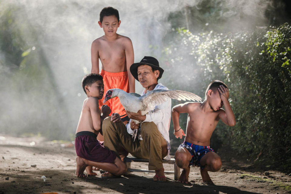 Anak Bermain Binatang